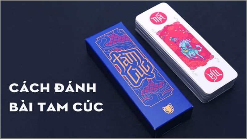 Tổng quan chung về bài Tam Cúc