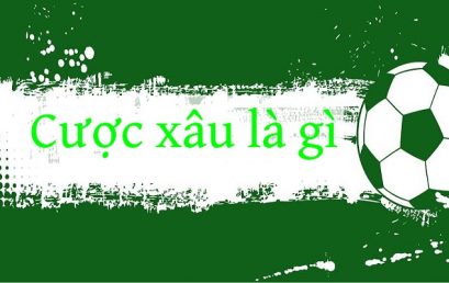 Cược Xâu Là gì? Hướng Dẫn Chơi Cược Xâu Chi Tiết Từ A Đến Z
